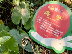 -呀诺达热带雨林