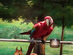 -绿色星球动物主题公园