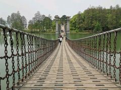 -东湖落雁景区