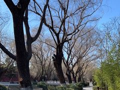 -菖蒲河公园