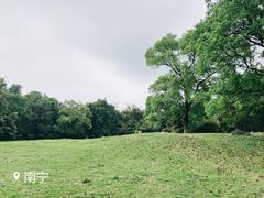 -春霞园餐厅