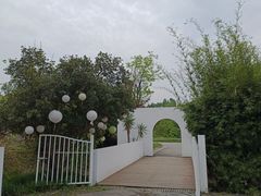 -白鹭湾湿地公园