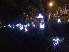 -古龙峡云天玻霸