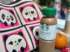 -上海佘山国家森林公园天马山园