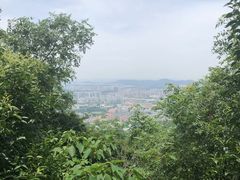 -紫金山山顶公园