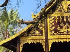 -西双版纳傣族园