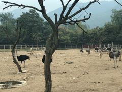 -西安秦岭野生动物园