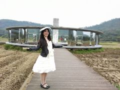 -风云岭森林公园