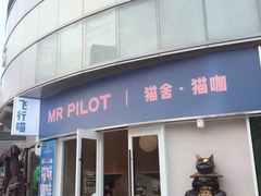 门面-飞行喵MR PILOT|猫舍·猫咖(静安大融城店)