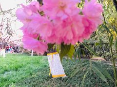 -正兴广场(人民中路店)