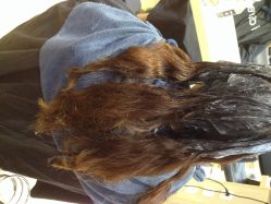 icare美发沙龙(仙乐斯店)-icare美发沙龙