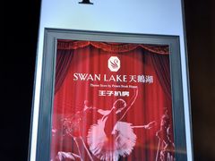 -佐度王子扒房(天鹅湖店)