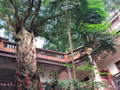 -南华寺素食馆(南华禅寺店)