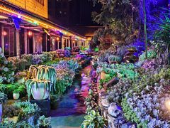 -山菌美食苑(振兴路店)