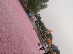 -上海杨姆庄园