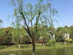 -上海鲜花港