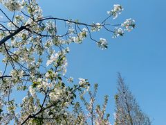 -白塘生态植物园