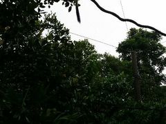 android_upload_pic-河川生态园