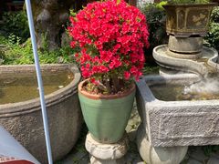 -木子山庄·安徽省老字号·中国炖锅宴