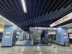 -大龙山(地铁站)