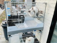 -小意思咖啡店(草桥店)