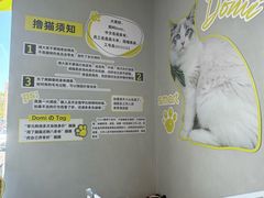-上海浦东smart汽车全功能店(金桥店)