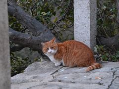 -北京凤凰岭