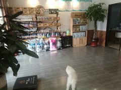 -美联众合宠物医院·爱萌分院·内外科·猫科中心