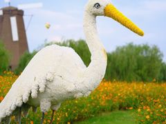 -漩门湾国家湿地公园