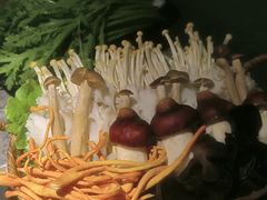 -麻路成都火锅(柏威年店)