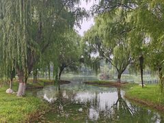 -西安浐灞国家湿地公园