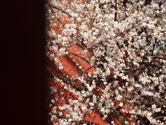 -钱王祠