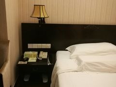 -维也纳国际酒店(深圳新洲店)