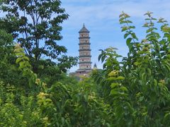 -北坞公园