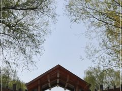 -野鸭湖国家湿地公园