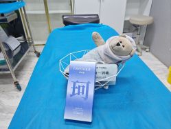 -洁铭新加坡医美