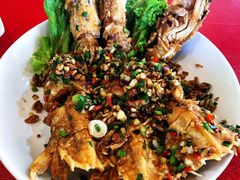 -大树下海鲜饭店