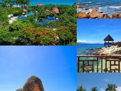 -亚龙湾热带天堂森林公园