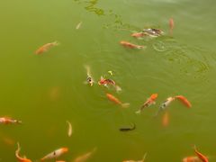 -南京金牛湖风景区