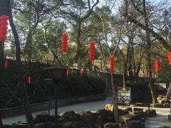 -兴福老面馆(寺路街店)