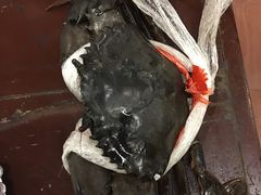 -大螃蟹海鲜餐厅