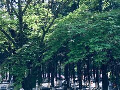 -白马涧龙池景区