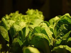 -旅马餐厅(茅家埠店)