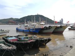 -沈家门渔港