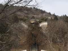 -白水寺森林公园