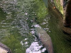 -青青世界