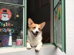 -NEA BAY咖啡馆