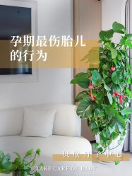 -贝欣月子中心(福清店)