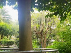 -广州神农草堂中医药博物馆