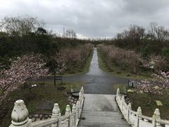 -上海海湾国家森林公园